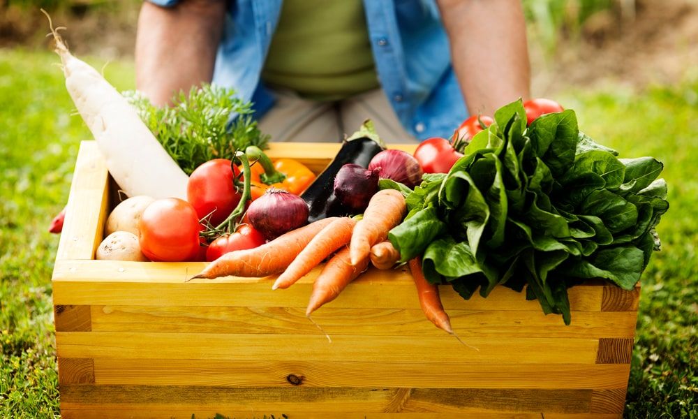 ¿Qué es la agricultura regenerativa y cómo puede beneficiar su restaurante?