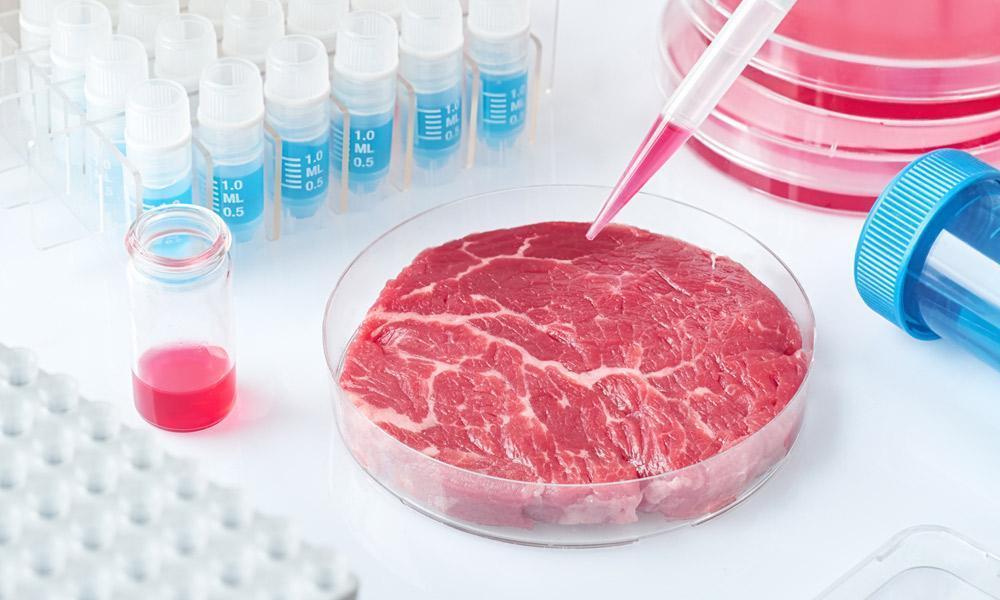 Carne in vitro, otra forma de consumir productos cárnicos.